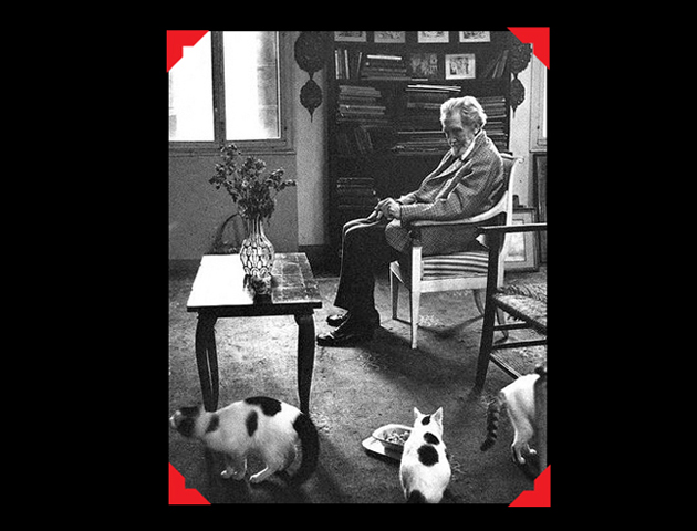 Αγάπες ποιητών και γάτες