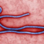 Τρεις σε ιατρική επιτήρηση στην Ισπανία