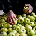 Το νομοσχέδιο για την ανθρωπιστική κρίση