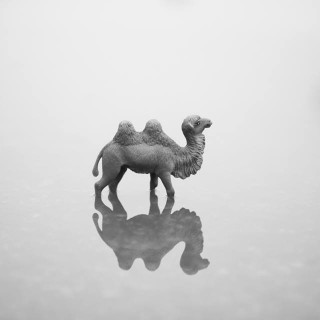 H λίστα της ημέρας (12/02/14)