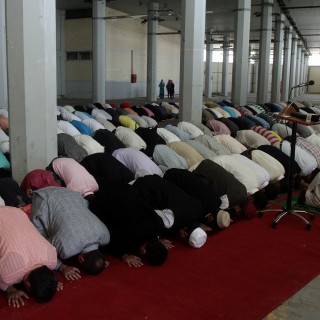 Η Πλάνη της Ομοιογένειας