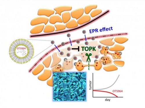 Μπορεί να νικηθεί ο καρκίνος του πνεύμονα;