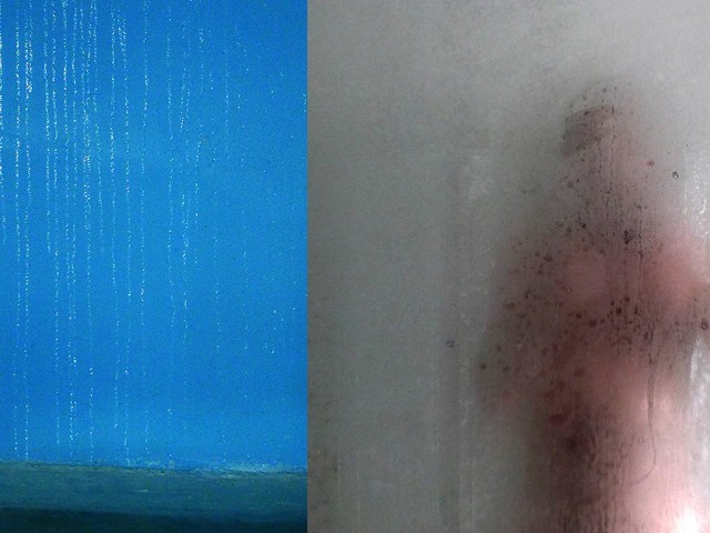 λέσβος, σημειώσεις ημερολογίου από τον κόλπο της γέρας