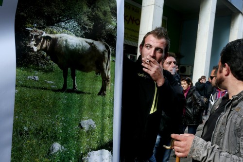 Μικροεπεισόδια ανάμεσα σε κτηνοτρόφους και ΜΑΤ έξω από τον ΟΠΕΚΕΠΕ