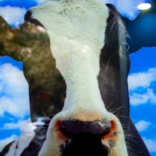 Οι Αυτόματοι Πωλητές Γάλακτος έφθασαν στη Θεσσαλονίκη