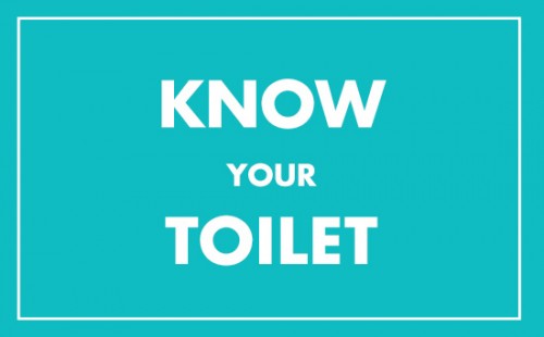 19/11/2001, γιορτάζεται για πρώτη φορά η Παγκόσμια Ημέρα Τουαλέτας