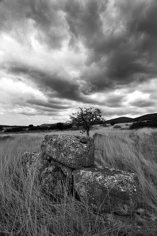 Τα δωρεάν της ημέρας