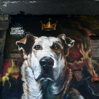 Χάρισε κι εσύ φροντίδα σε ένα αδέσποτο. Σε έχει ανάγκη!