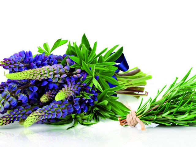 Τριχόπτωση; Υπάρχει λύση, αποτελεσματική και απόλυτα φυσική από την APIVITA