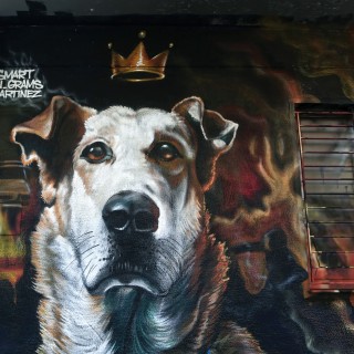 POP 14: Η χρονιά σε 26 φωτογραφίες