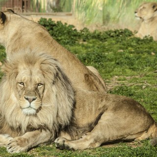 16 τραγούδια που ταιριάζουν γάντι με τις εκλογές της Κυριακής
