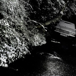 Άσπρη πόλη, μόνη ψάχνει