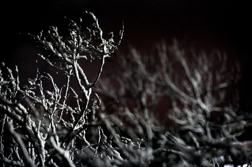 «Ποδαρικό» με διαδοχικά κύματα κακοκαιρίας θα κάνει το 2019