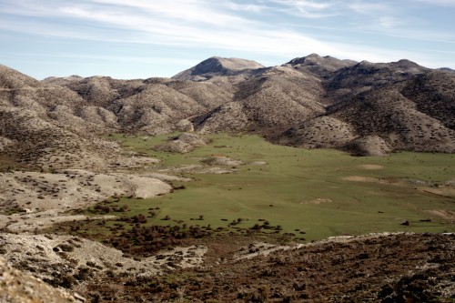 Άγνωστοι πραγματοποίησαν μία απίστευτη κλοπή στα Χανιά