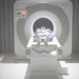 Ανταπόκριση από το «μυθικό» Festival d’Automne: Το Βατερλώ των Μεγάλων