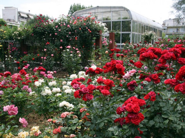 Ο «άγνωστος» Βοτανικός Κήπος της Θεσσαλονίκης