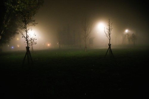 Γερμανία: Στους οκτώ ανήλθε ο αριθμός των νεκρών από την κακοκαιρία