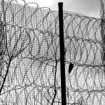 Τα δωρεάν της ημέρας