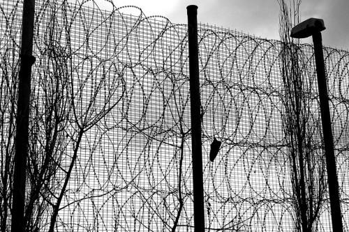 Τα δωρεάν της ημέρας