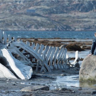 Το πεντάστερο «Λεβιάθαν», οι ανεκδιήγητες «50 Αποχρώσεις του Γκρι» κι ένα διαμάντι από το Ιράν