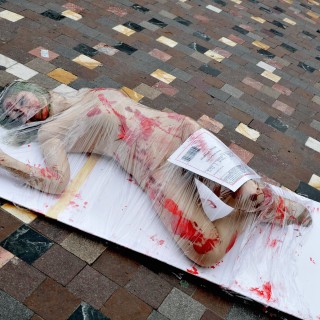 «Αν τα σφαγεία είχαν γυάλινους τοίχους, τότε όλοι θα ήταν χορτοφάγοι»