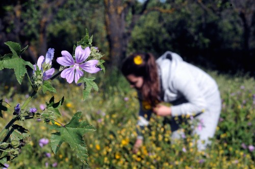 Περιβάλλον: Αμελητέα εκτιμάται η μακροπρόθεσμη επίπτωση του παγκόσμιου lockdown στην κλιματική αλλαγή