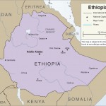 Ανακαλύφθηκε το απολίθωμα που άνηκε στον πρώτο άνθρωπο «Homo»