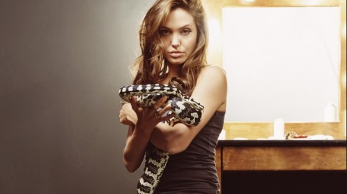 Σε αφαίρεση ωοθηκών προχώρησε η Αντζελίνα Τζολί