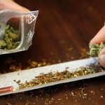 Σπείρα χασισέμπορων  εξαρθρώθηκε στην Τρίπολη