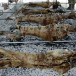 Θεσσαλονίκη: Αυξημένη κατά 20% τουλάχιστον η τιμή του οβελία φέτος