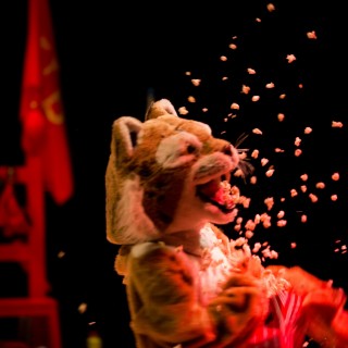 Η αμερικανική pop κουλτούρα προσγειώθηκε στο Bios