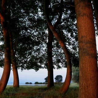 Φωτογραφικό ταξίδι στη λίμνη Κερκίνη από τη σχολή φωτογραφίας Όραμα