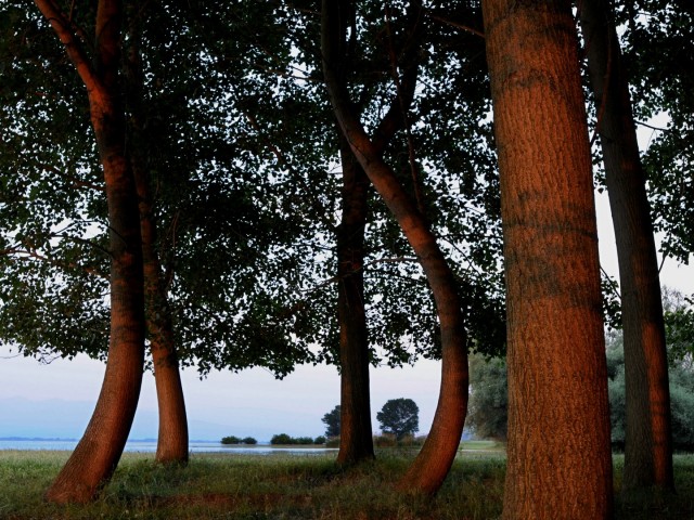 Φωτογραφικό ταξίδι στη λίμνη Κερκίνη από τη σχολή φωτογραφίας Όραμα