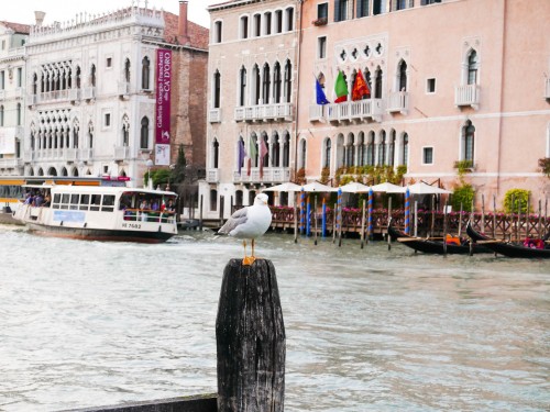 Ιταλία: Φαίνεται πως θα την γλιτώσει η Βενετία