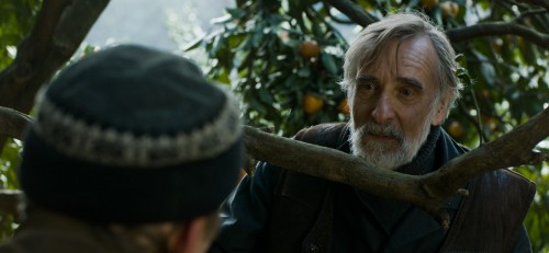 Κερδίστε 5 διπλές προσκλήσεις για την ταινία «Μανταρίνια»