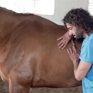 Ο Σταύρος Σκαρπαθάκης γητεύει τα άλογα με χειροπρακτική