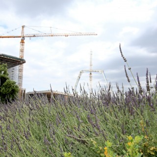 Αφήστε καναπέδες, παραλίες, τηλεοράσεις και κάντε μια βόλτα στο Πάρκο Σταύρος Νιάρχος