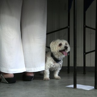 27 φωτογραφίες από την εκλογική διαδικασία που μπορεί να αλλάξει την Ελλάδα για πάντα