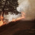 Νέο μέτωπο πυρκαγιάς στην Πάρνηθα