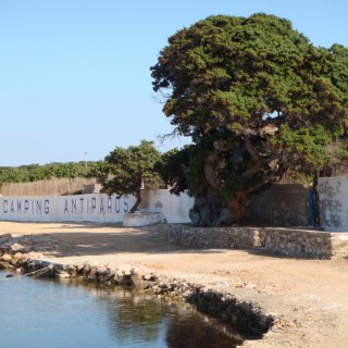 «Στην Αντίπαρο το 2000 παρίστανα τον σιωπηλό για να με περάσουν οι μεγάλοι για μεγάλο και η “έτσι” για θυμωμένο»