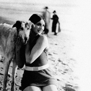 Τι μπορεί να κάνει ένας σκύλος στην παραλία;