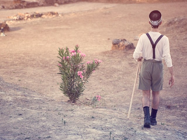 To Φεστιβάλ κατάφερε και στάθηκε όρθιο