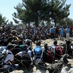 Ψεκασμοί για τα κουνούπια πρέπει να γίνουν όπου διαμένουν πρόσφυγες ή μετανάστες, τονίζει ο πρόεδρος του Ιατρικού Συλλόγου Πειραιά