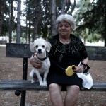 Δωρεάν στείρωση σε οικόσιτους σκύλους στα Χανιά