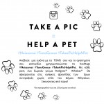 Taking A Stand For Cats and Dogs!