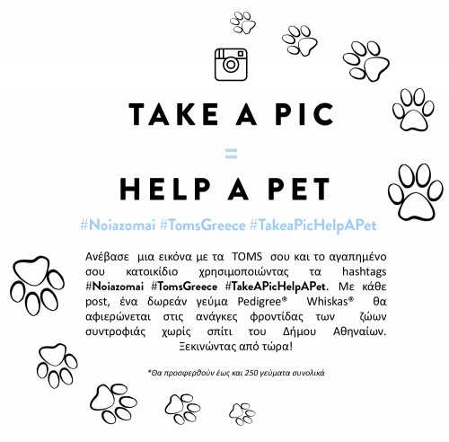 Taking A Stand For Cats and Dogs!