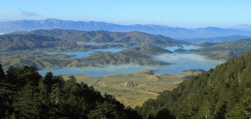 Τι δουλειά έχουν ψάρια της Β. Αμερικής σε λίμνη του Αώου;