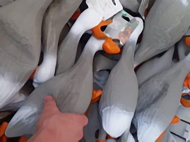 The duck army: οι πάπιες που κατέκτησαν το ίντερνετ!