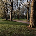 Που κάνει καλό το διοξείδιο του άνθρακα