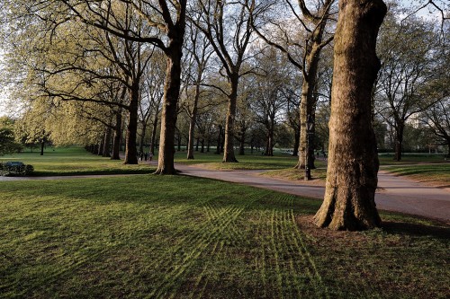 Που κάνει καλό το διοξείδιο του άνθρακα